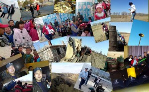 Basher Tree Planters