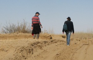 Walkabout Bashers